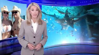 Best Friends Attacked by Shark in the Bahamas.