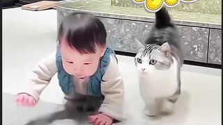 Kucing nya naikin bayi