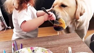 What Happens When You Feed Your DOG ALL Your Food?