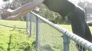 How Animals Get Over a Fence