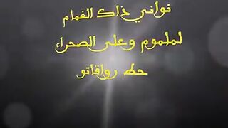 الشيخ الصديق ربي يرحمو