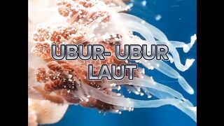 UBUR - UBUR LAUT