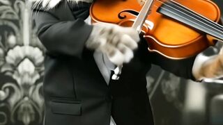 violinist cat