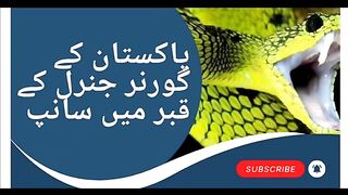 Snake in the grave of the Governor General of Pakistan