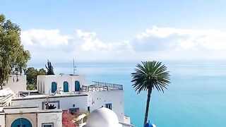 Sidi Bou Said : La Magie des Murs Bleus et Blancs