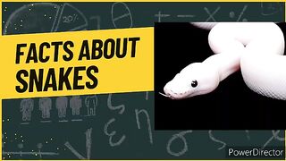 Facts about snakes