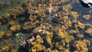 An otter mum teaches her cubs to survive