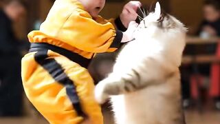 Fighting Cat