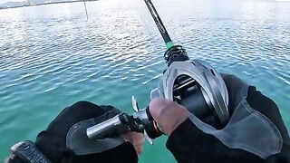 Fishing. Fish videos nice fishing plz subscribe