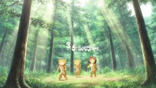 3 lions in the forest