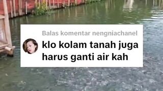 Kalau dikolam tanah apakah harus ganti air kolam juga