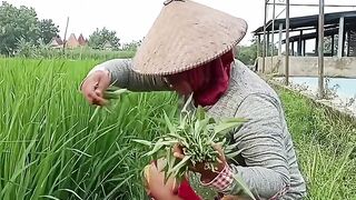 sayuran kangkung gratis