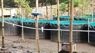 Home-scale freshwater fish farming