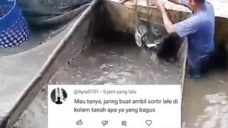 2 jenis jaring keramba ini yang sering digunakan untuk panen & sortir ikan lele