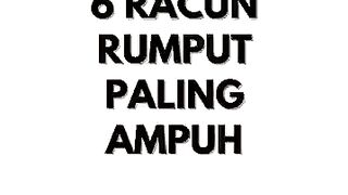 6 Racun Rumput Paling Ampuh Di Indonesia