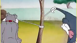 Tom and jerry cartoon