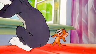 Tom and jerry lovely cartoon