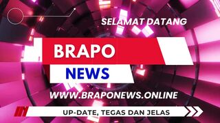 Openg Brapo News