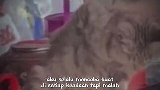 Kucing sakit pingang