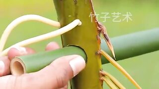 SLINGSHOOT BAMBOO 12