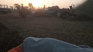 Early morning farmers life in Pakistan