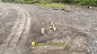 The kitten is so funny,taking the duck to find treasure!The treasure contains delicious food.so cute