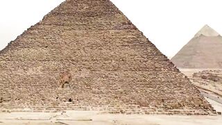 Mr. Beast in Egypt old