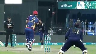 Catches by pak team