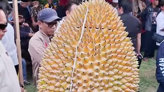 Durian – the King of Fruits! ???? this fruit is one of a kind! Would you try it? ???????? #durianlover