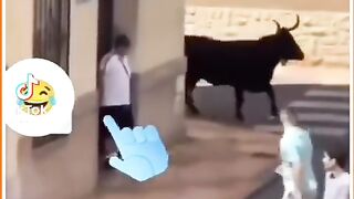 Very funny clip of a raging bull