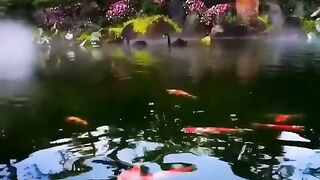 Beautiful nature | Relaxing nature | Soothing & calming nature