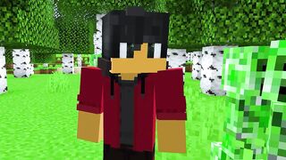 Save AARON or Save EIN in Minecraft?!