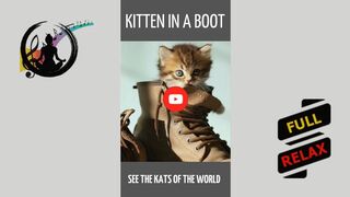 Kitten in a boot. [HD] #shorts