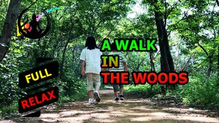 A walk in the woods. [HD]