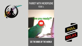 Parrot with microphone - issue 1. [HD] #shorts