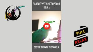 Parrot with microphone - issue 3. [HD] #shorts