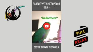 Parrot with microphone - issue 4. [HD] #shorts