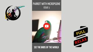 Parrot with microphone - issue 5. [HD] #shorts