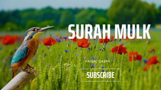 Surah Mulk