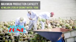 Coconut Pressing Factory