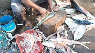 King fish cutting | queen fish cutting | fish cutting skills