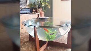 Top único y moderno tanque de peces ideas de diseño|Aquarium plantas de peces de pie ideas 2023