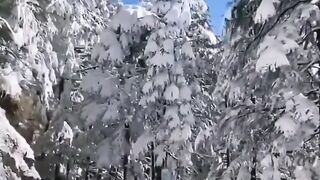 first snowfall in Kashmir 2023