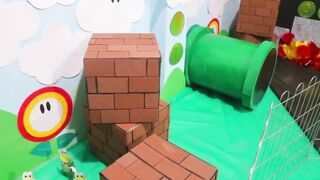 Super Mario Dog Obstacle Course Challenge