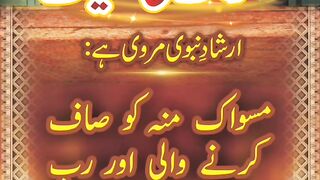 مسواک کی فضیلت۔ Use of Miswak