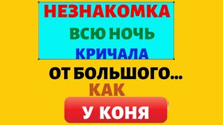 МОЯ ПРЕКРАСНАЯ НЕЗНАКОМКА/Истории любви