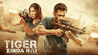 Tiger Zinda Hai (2017) Full Movie Watch Online HD Print