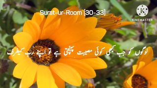 Surah room