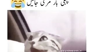 Larkiyan Jab pehli par Mari jaye