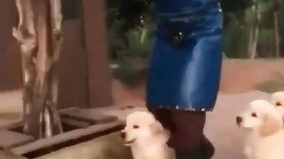 Puppies Eating, Funny and Cute Puppies